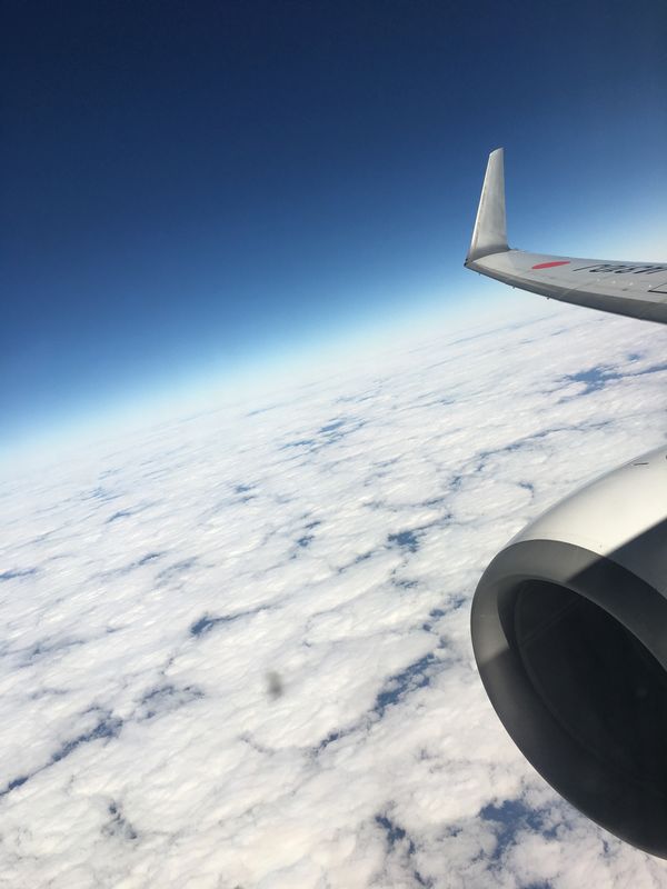 台湾「台湾旅行」の写真