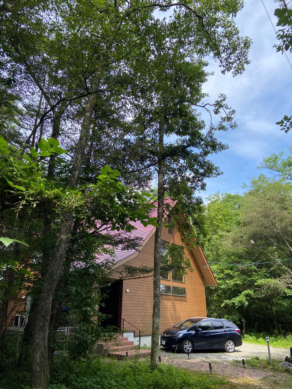 カキ氷食べてゴルフしてな雨を避けての旅