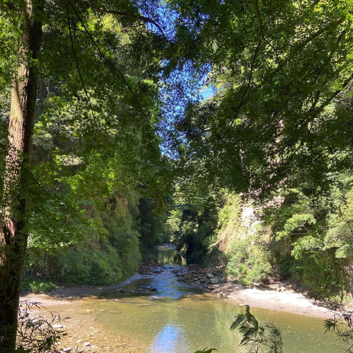 紫陽花みたり、蕎麦食べたり、滝見たり、