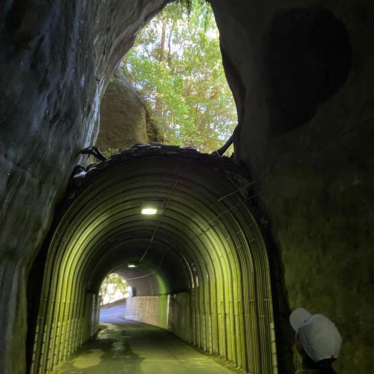 紫陽花みたり、蕎麦食べたり、滝見たり、