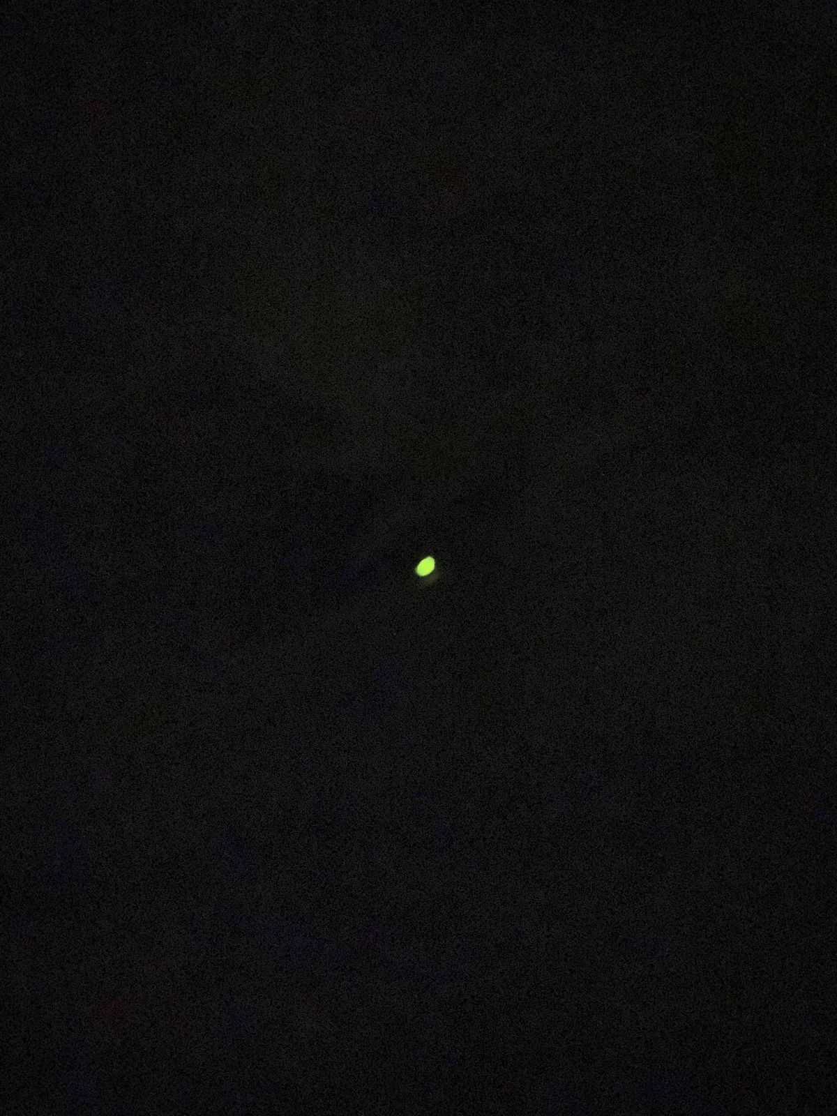 ホタルも見れたね！紫陽花も綺麗だった。
宿はもちの木