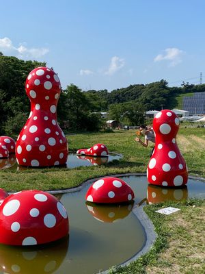 ホタルも見れたね！紫陽花も綺麗だった。
宿はもちの木