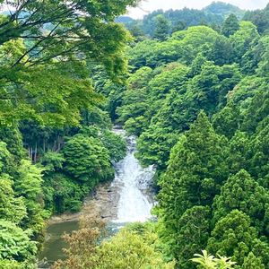 1日目は2人で、二日目は友達夫婦も来て雨の中☔️ゴルフ😂