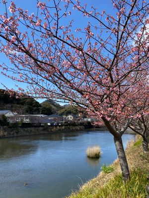 下田の別荘にはお世話になったなー。
さみしいよー