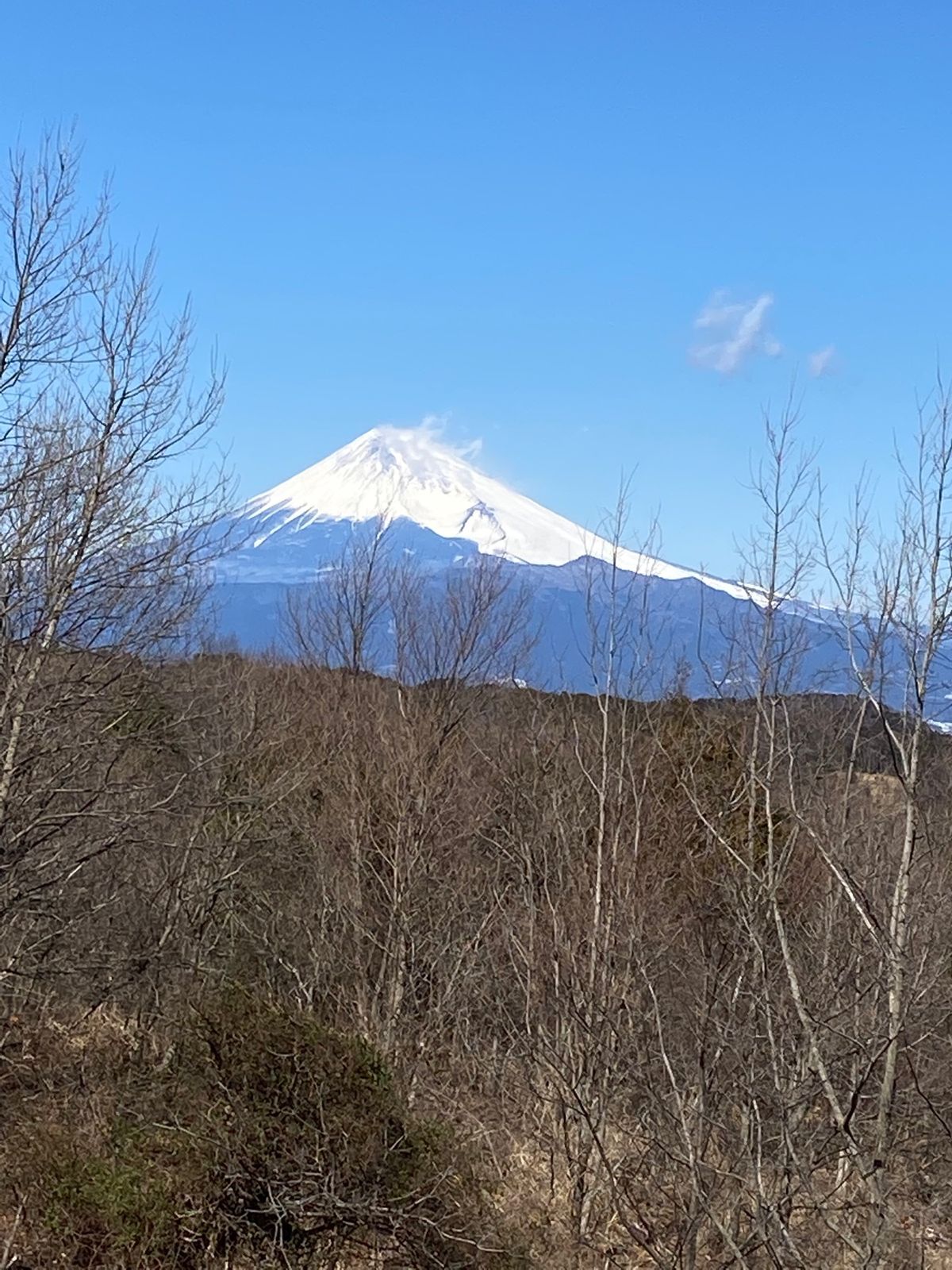 下田の別荘にはお世話になったなー。
さみしいよー