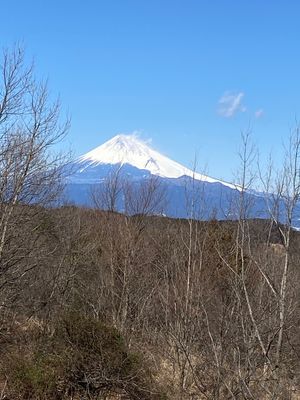 下田の別荘にはお世話になったなー。
さみしいよー