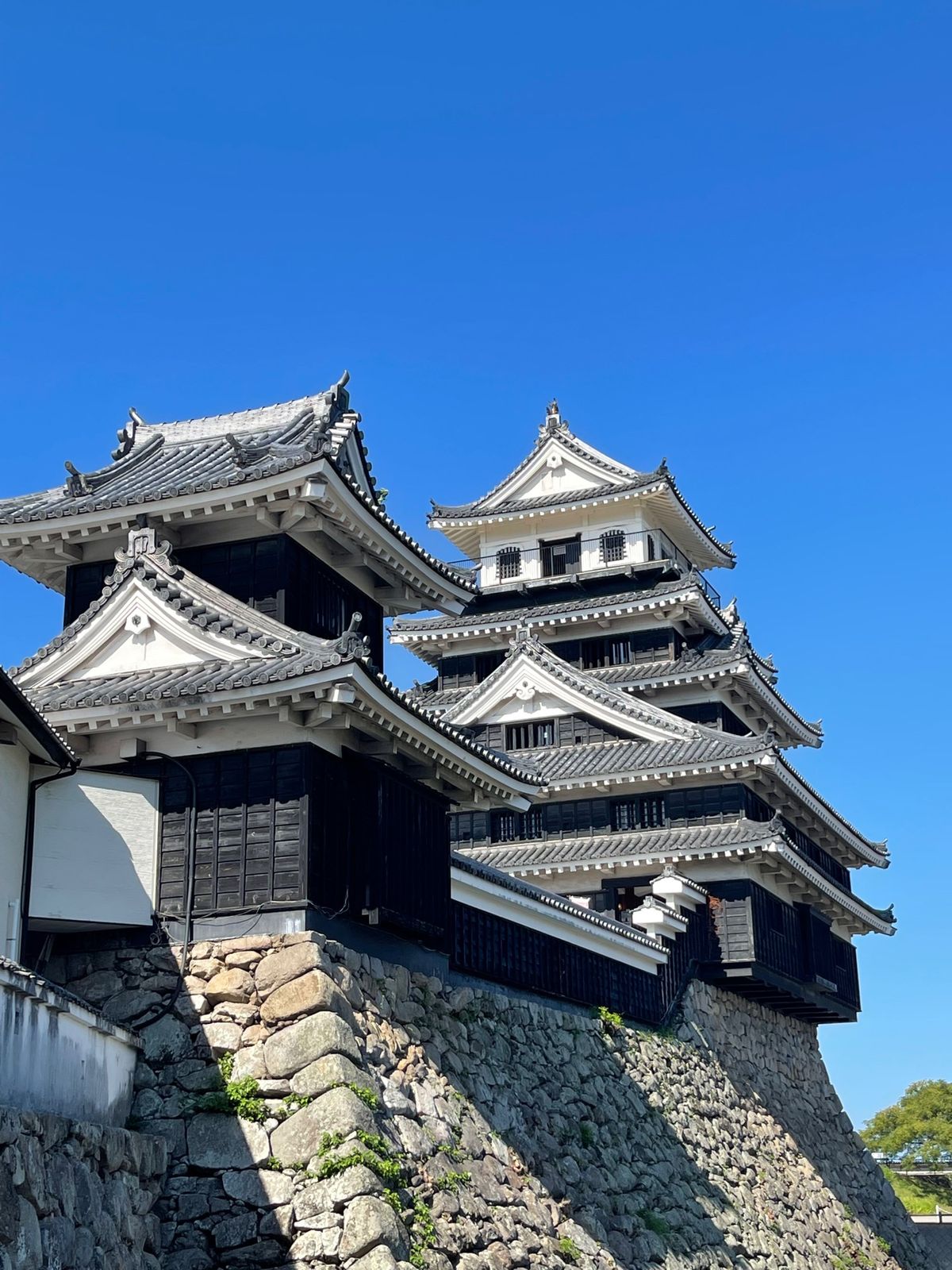 中津城