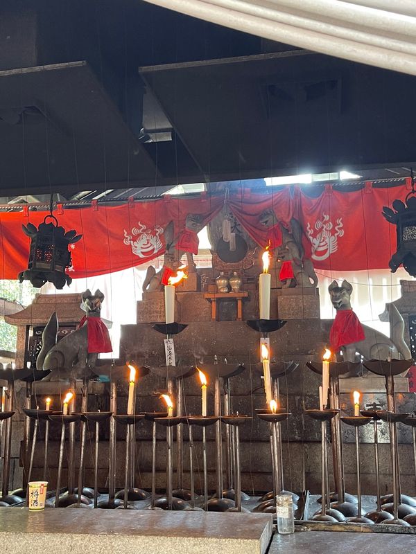 日本・京都府「Mar. 2022 京都　桜の旅」の写真：伏見稲荷3