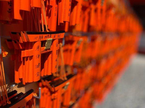 日本・京都府「Mar. 2022 京都　桜の旅」の写真：伏見稲荷2