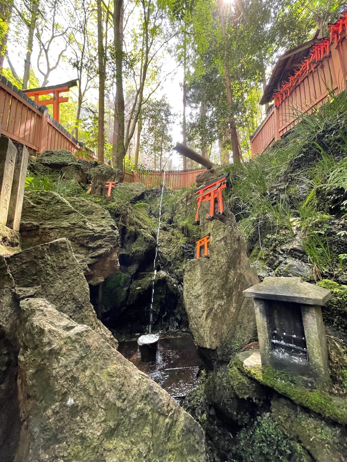 伏見稲荷3