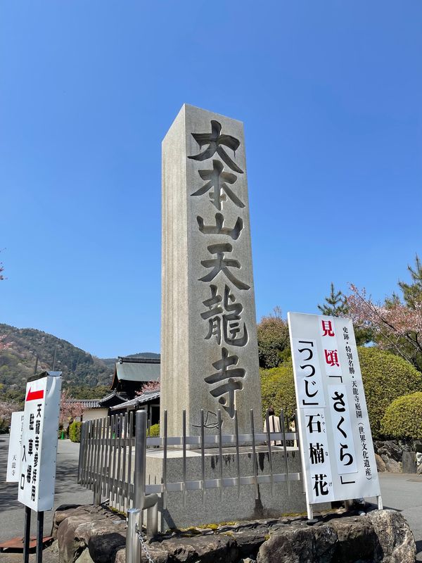 日本・京都府「Mar. 2022 京都　桜の旅」の写真：天龍寺