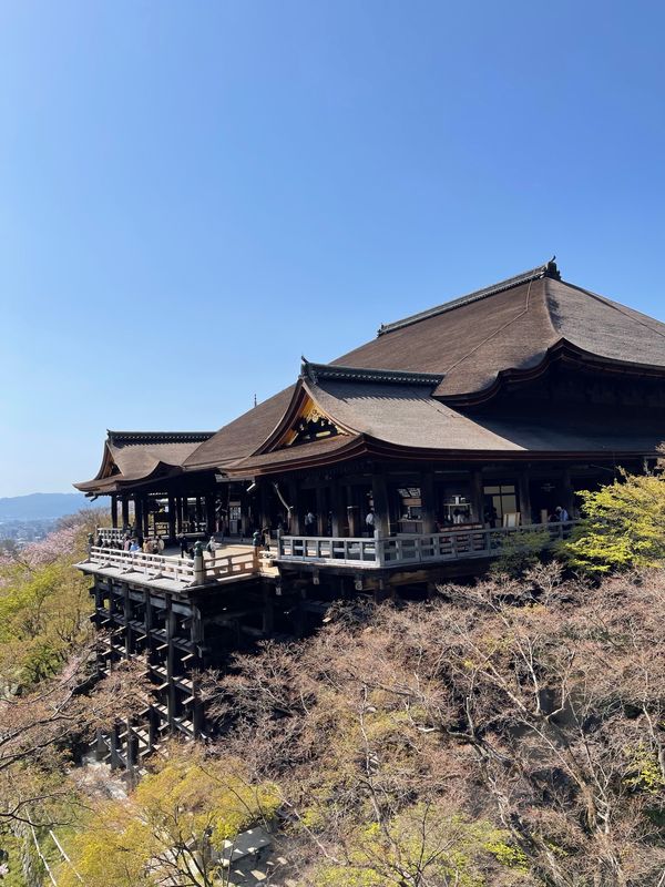 日本・京都府「Mar. 2022 京都　桜の旅」の写真：清水寺1
