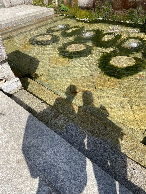 日本・京都府「Mar. 2022 京都　桜の旅」の写真：清水寺2