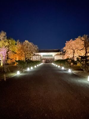 二条城2