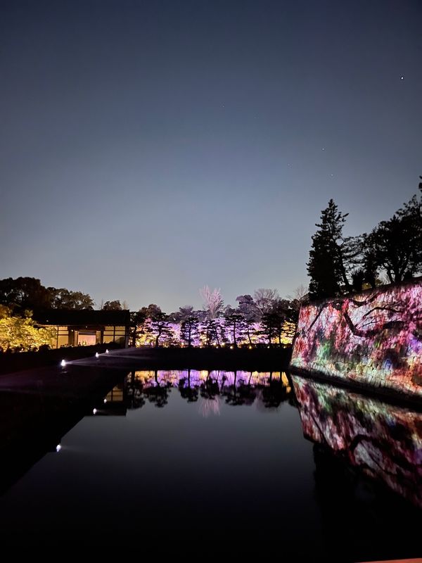 日本・京都府「Mar. 2022 京都　桜の旅」の写真：二条城2