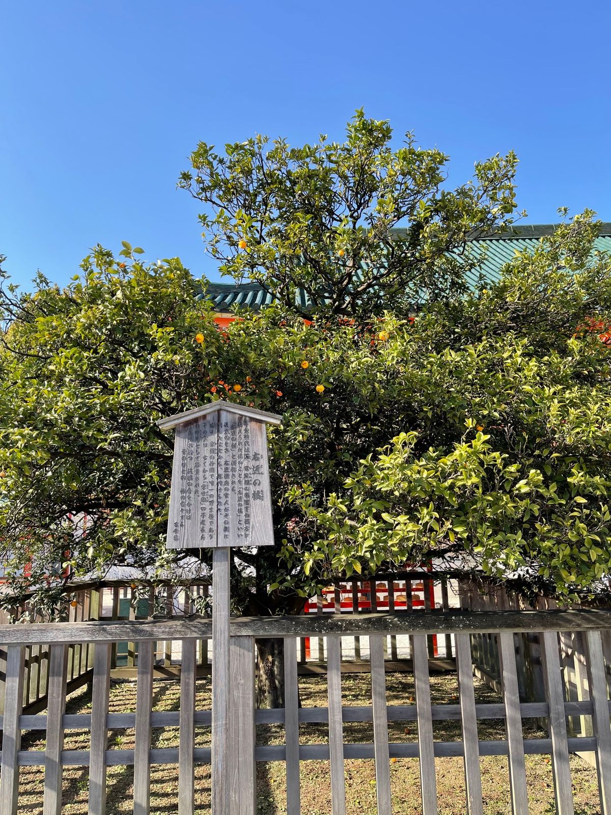 平安神宮2