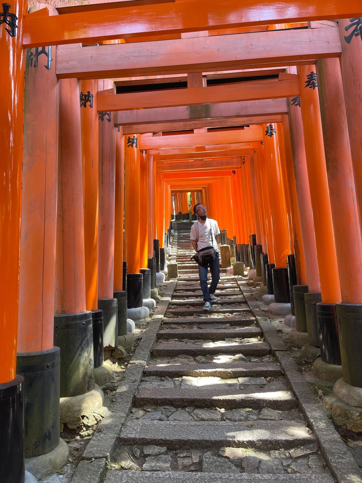 伏見稲荷4