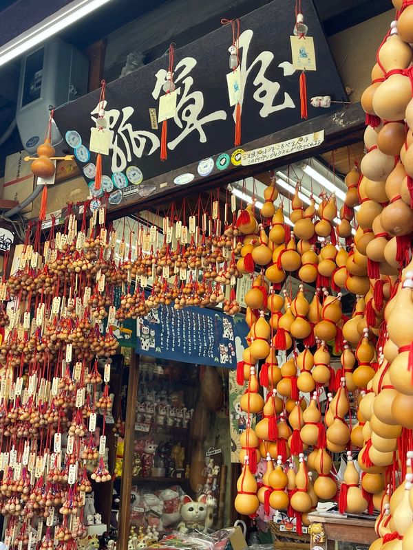 日本・京都府「Mar. 2022 京都　桜の旅」の写真：二寧坂