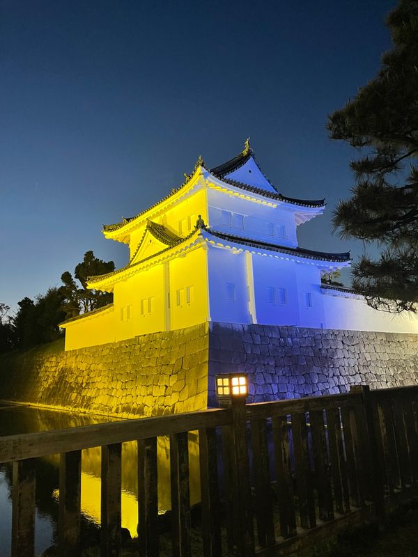 日本・京都府「Mar. 2022 京都　桜の旅」の写真：二条城1