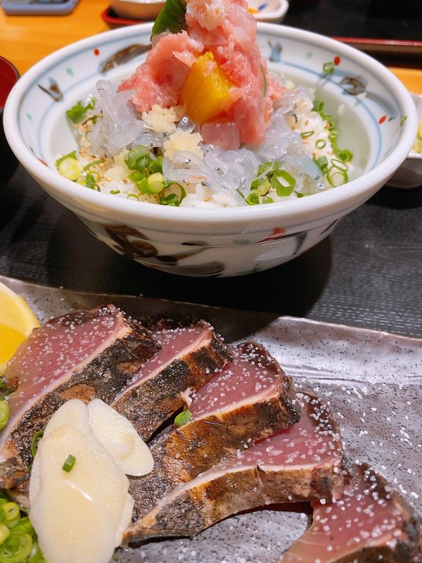 日本・高知県松山市「四国旅」の写真