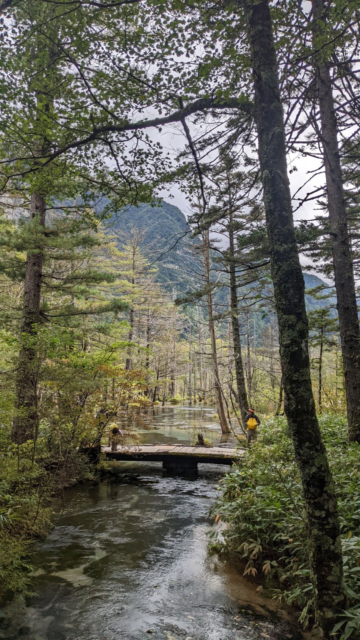 水綺麗すぎ！！