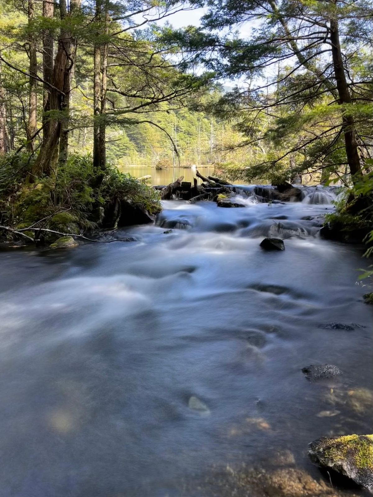 明神池
一之池はシンプルかっこいい。