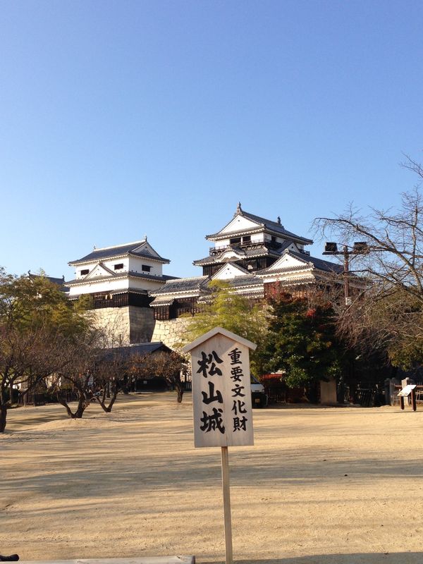日本・徳島県「ツアー旅行(愛媛県松山、徳島県)」の写真