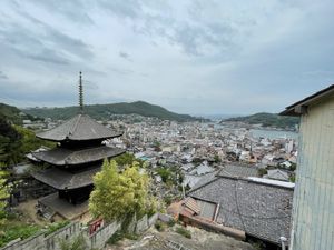 ちょっと天気が微妙だったけど、尾道の景色は素晴らしかった。
坂道も、味わい...