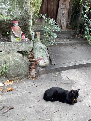 ちょっと天気が微妙だったけど、尾道の景色は素晴らしかった。
坂道も、味わい...