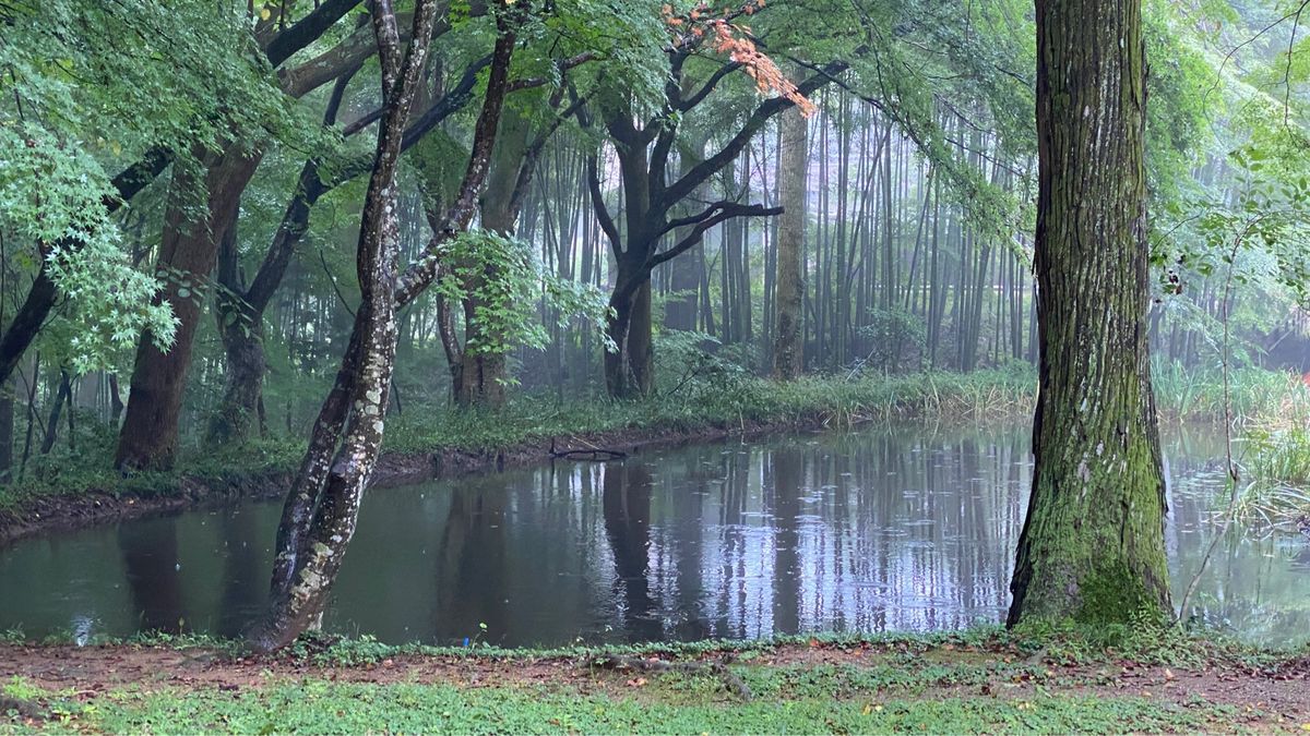 写真は中尊寺。