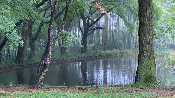 日本・岩手県「岩手旅行」の写真：写真は中尊寺。