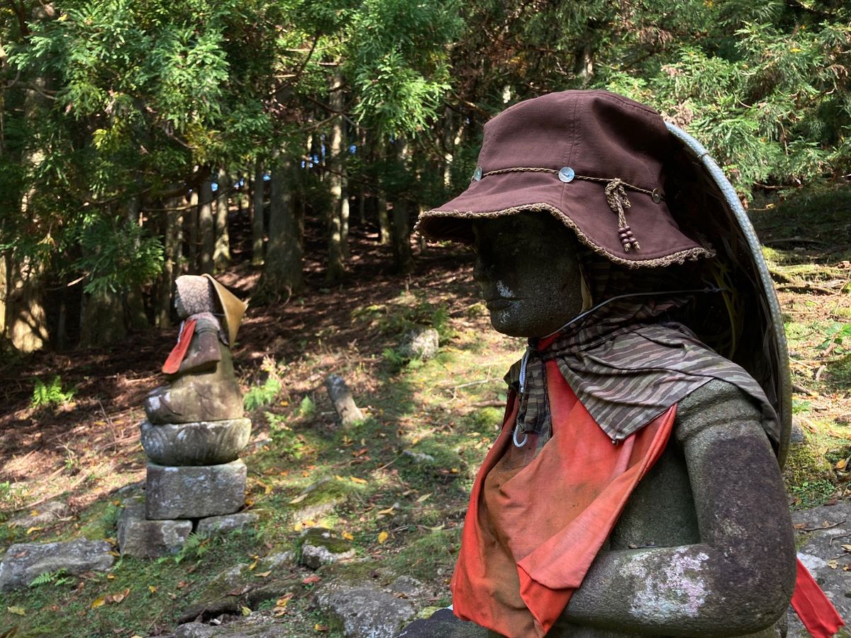 角切りの後は頂上（約440m）まで登山
金華山のコガネムシ？