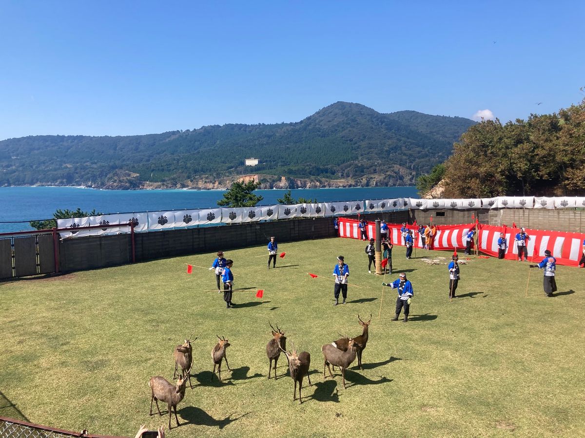 神鹿角切り行事祭
今回は女川から船で渡る（所要約40分）
参拝客の安全を守...
