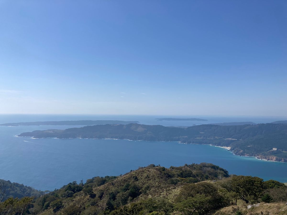 角切りの後は頂上（約440m）まで登山
金華山のコガネムシ？