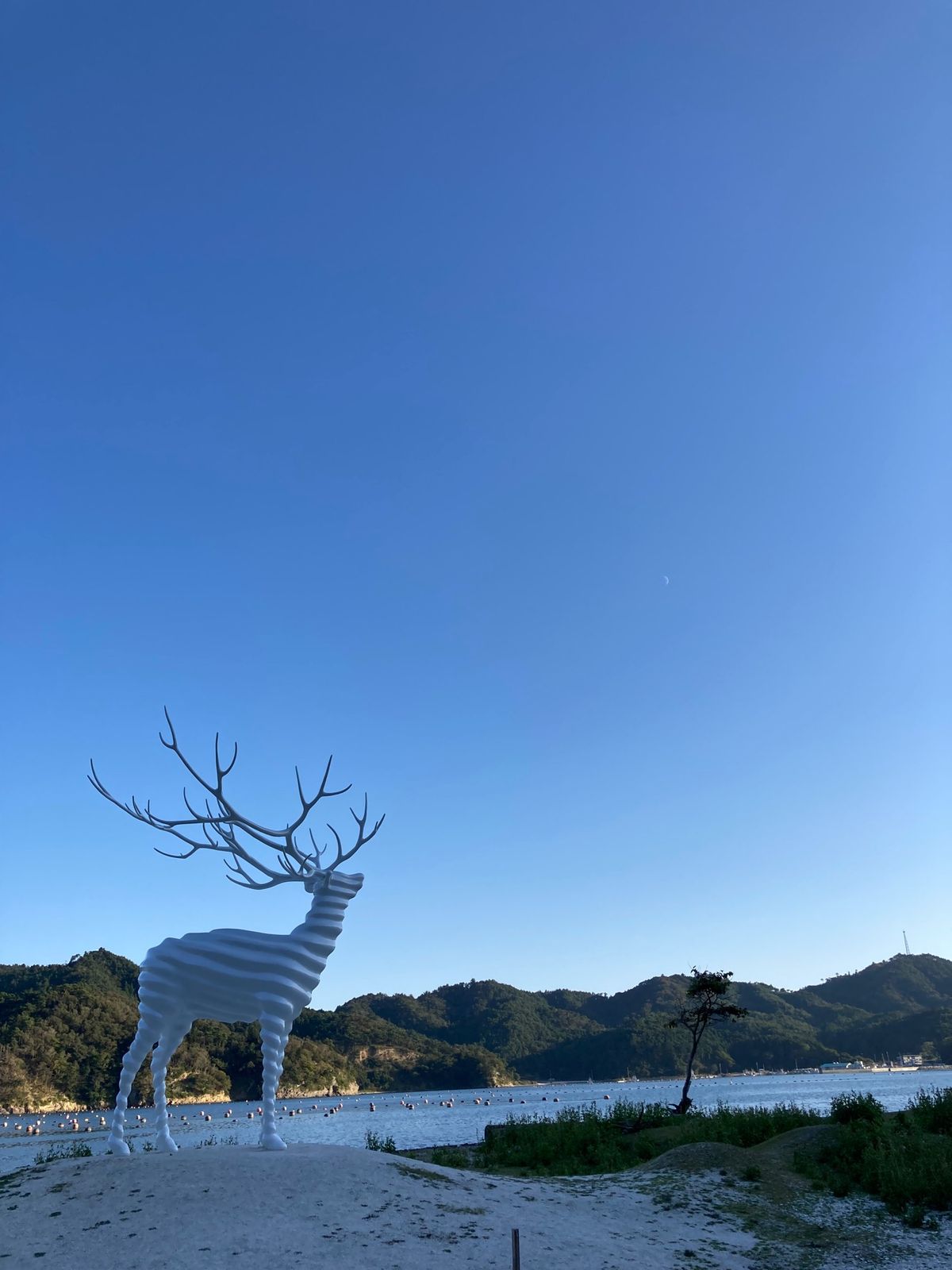 Reborn-Art Festivalより
Surf Angel
Unti...