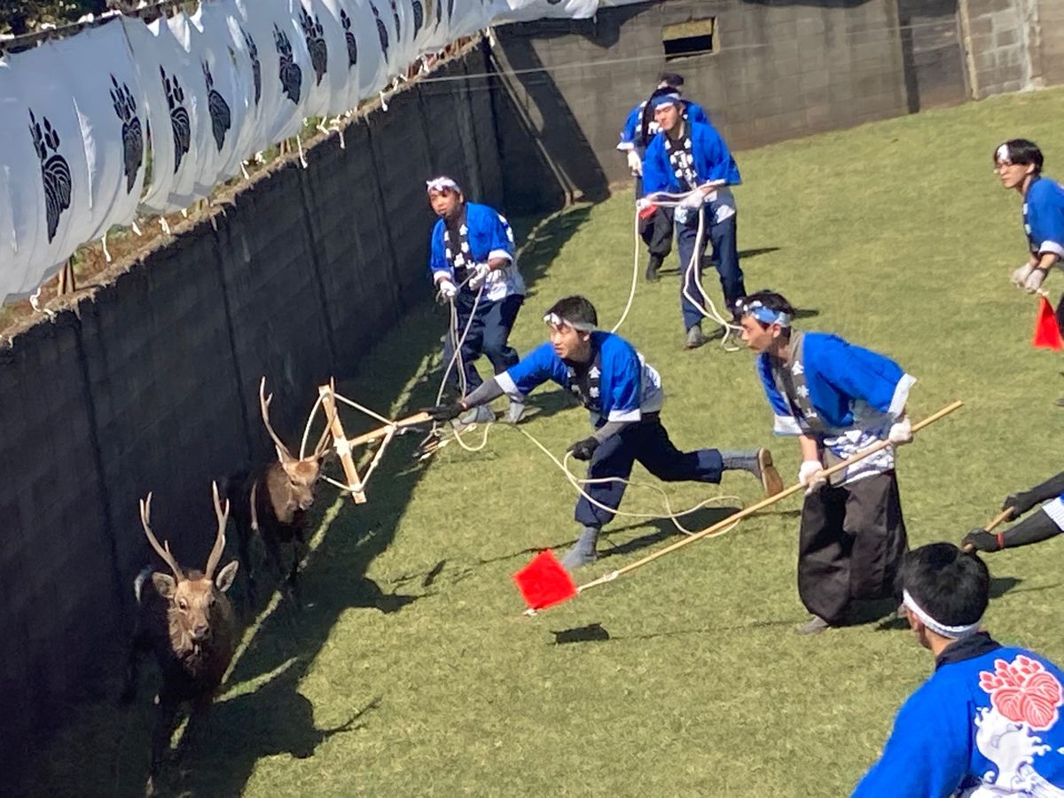 神鹿角切り行事祭
今回は女川から船で渡る（所要約40分）
参拝客の安全を守...