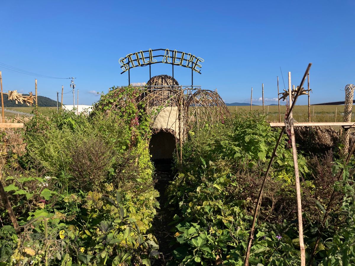 Reborn-Art Festivalより
Surf Angel
Unti...