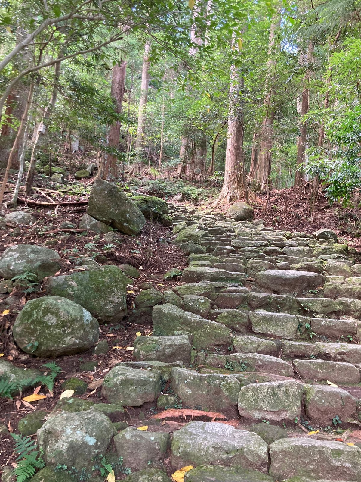 熊野古道:那智の滝、三重塔