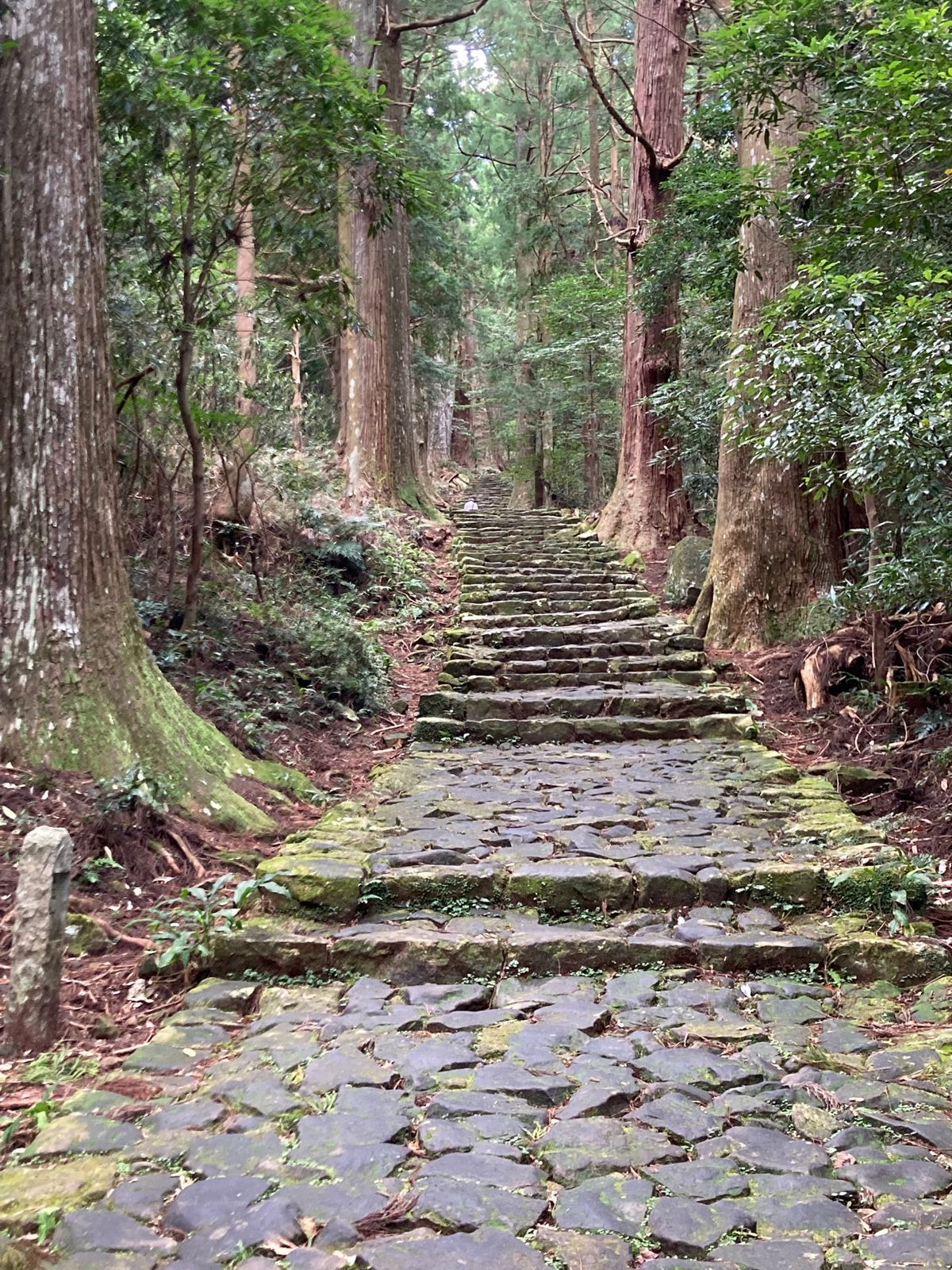 熊野古道:熊野那智大社、大門坂