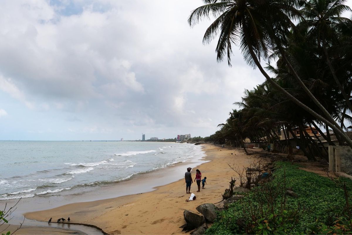 ネゴンボの見どころ