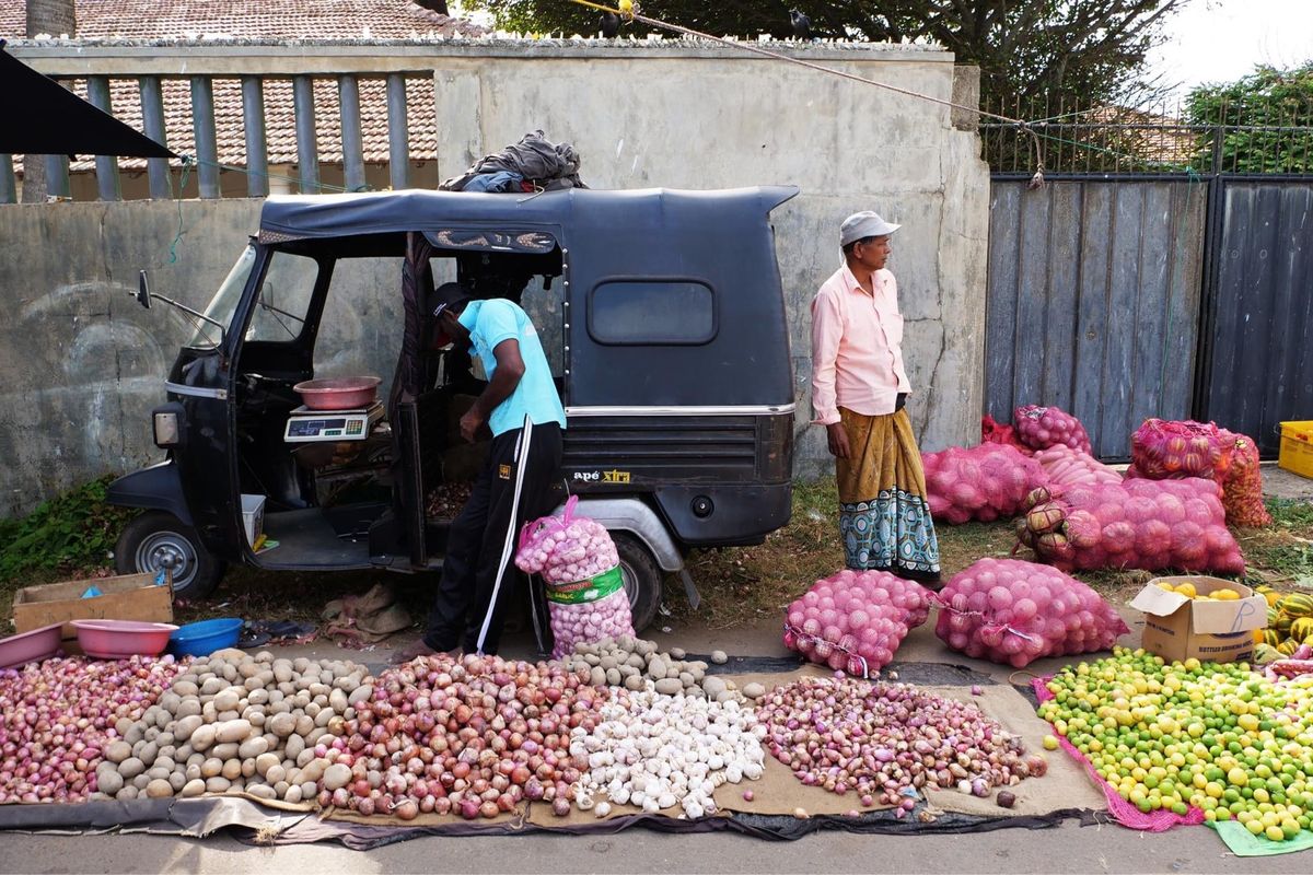 ネゴンボの日曜日朝市