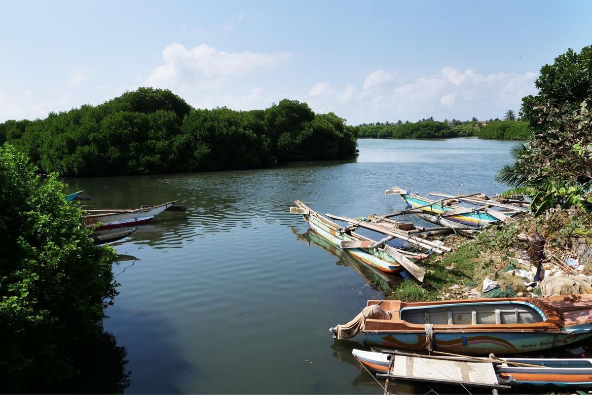ネゴンボの見どころ