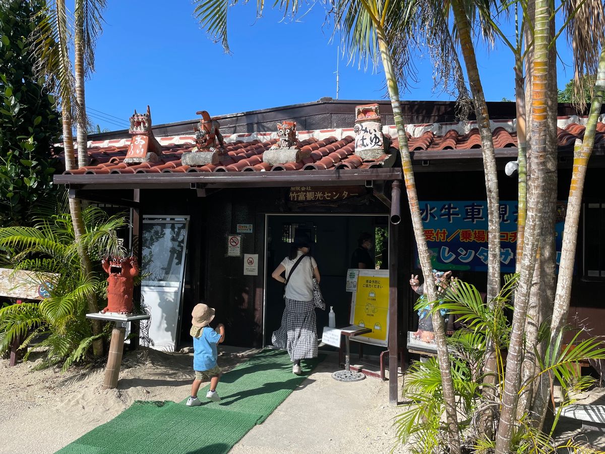 竹富島水牛巡り