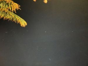 街中のホテルからでも綺麗な星空