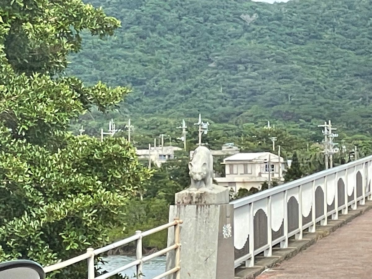 世界遺産西表島
仲間川マングローブクルーズ
イリオモテヤマネコには会えず