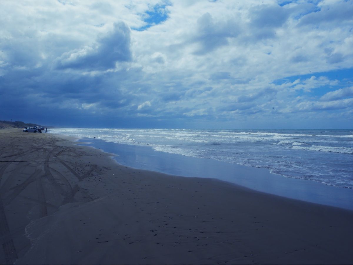 河北潟メタセコイア並木、千里浜なぎさドライブウェイ、氣多大社