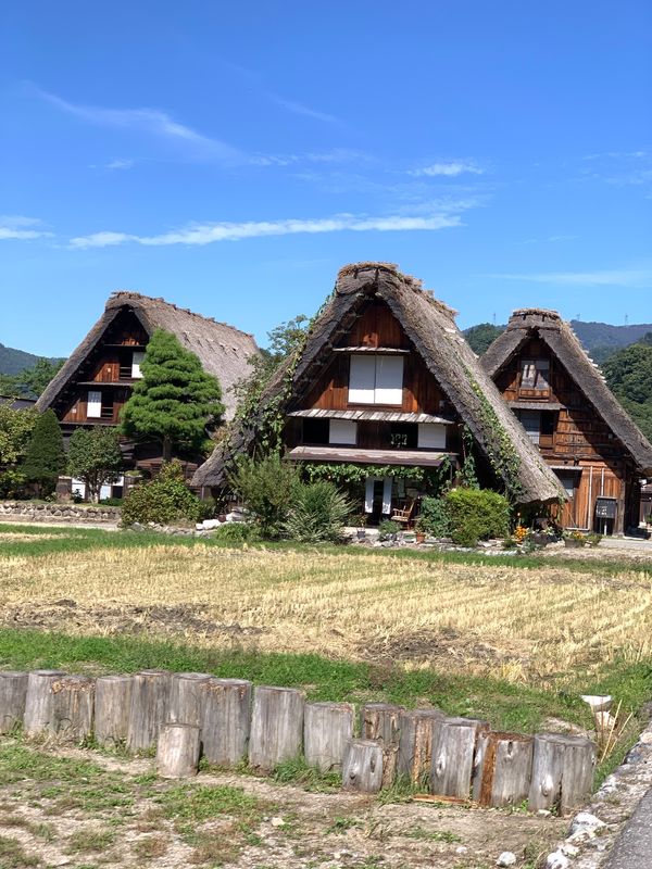日本・岐阜「岐阜旅行」の写真