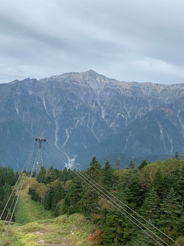 日本・岐阜「岐阜旅行」の写真