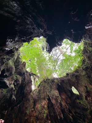 軍艦島ピーカンのため、上陸できた。けっこう、上陸できないことあるみたいでラ...