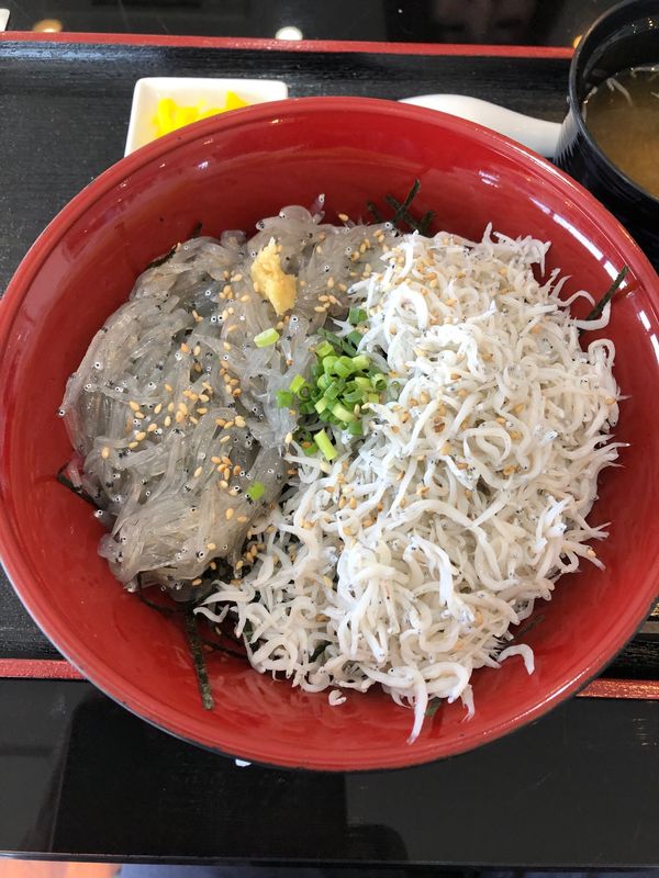 日本・静岡市「静岡グルメ&富士山&ヤクルトスワローズ観戦」の写真